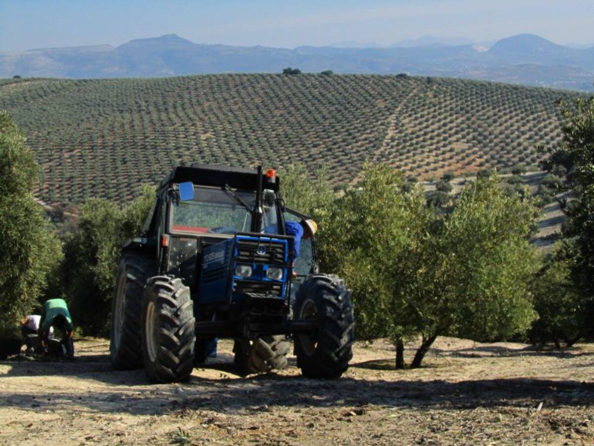 El paro baja en noviembre en 1.620 personas