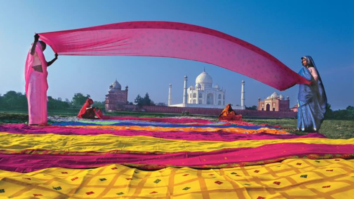 Avistamiento del tigre Bengala en India