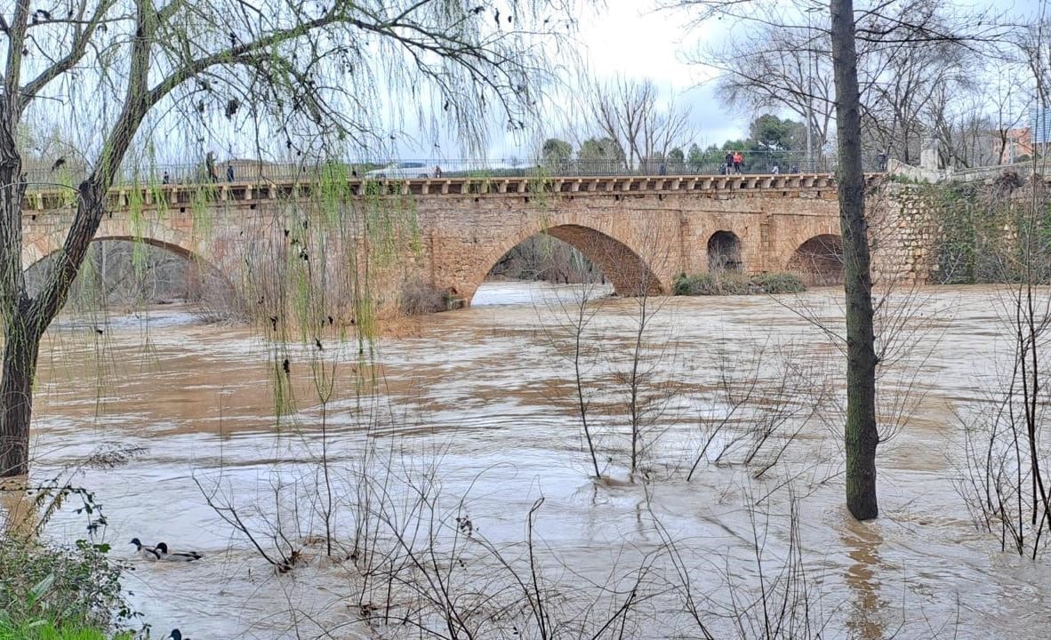 Río Henares a su paso por Guadalajara este lunes 2 de febrero