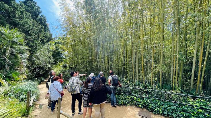 Entrevista Josep Borrell, director general de la Fundació Carl Faust