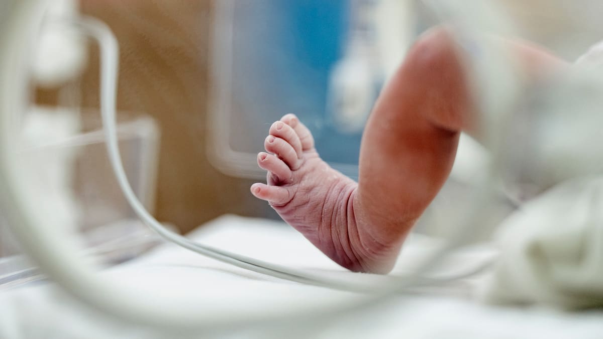 Máximo, primer bebé del 2026 en el Hospital de Alcoy