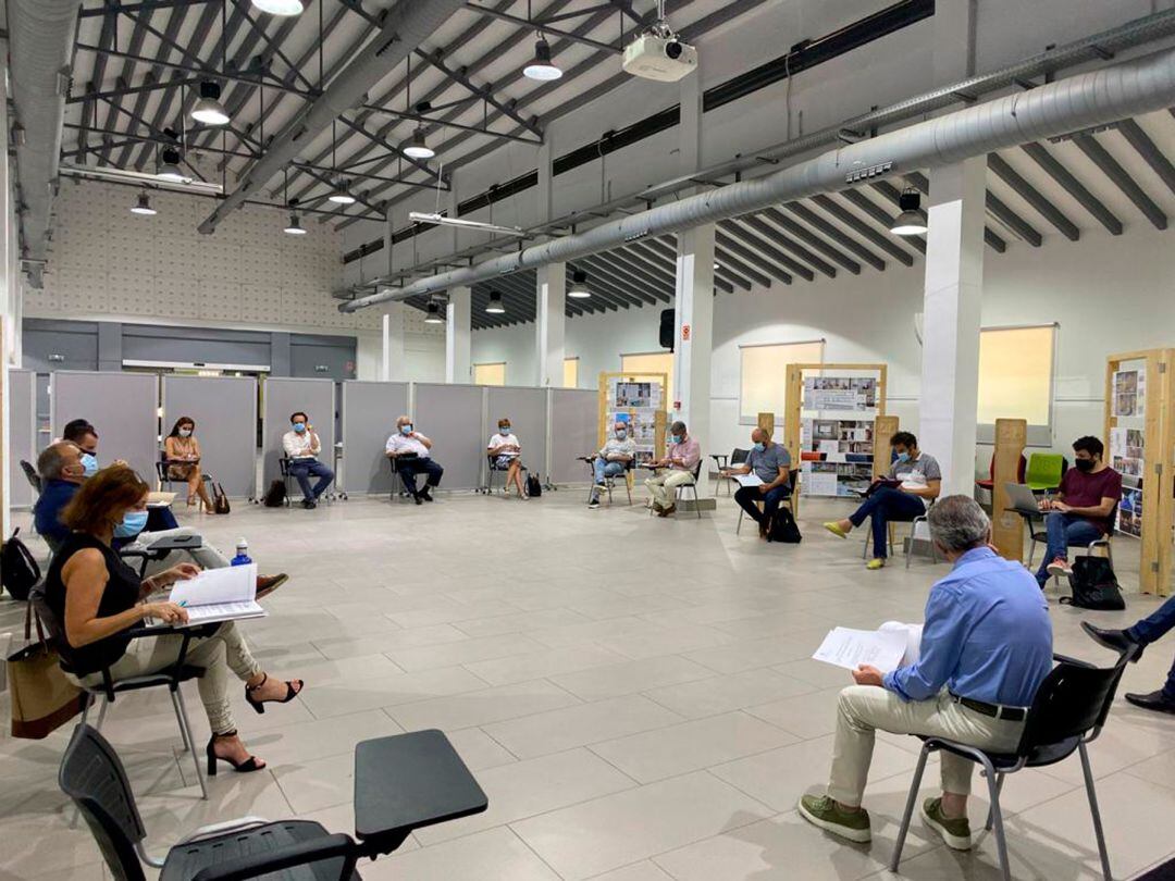 Componentes del Consejo Económico y Social durante la reunión en la que se acordó las ayudas para fomentar la ocupación en Alcoy.