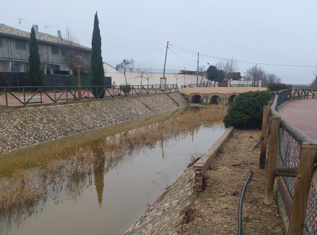 Río Záncara a su paso por El Provencio (Cuenca) con agua en su cauce tras el temporal de nieve y lluvia de enero de 2021.