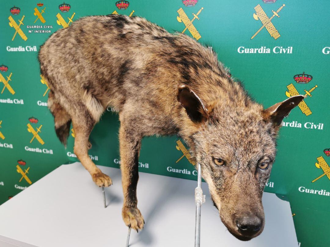 Actuación de la Guardia Civil de Palencia