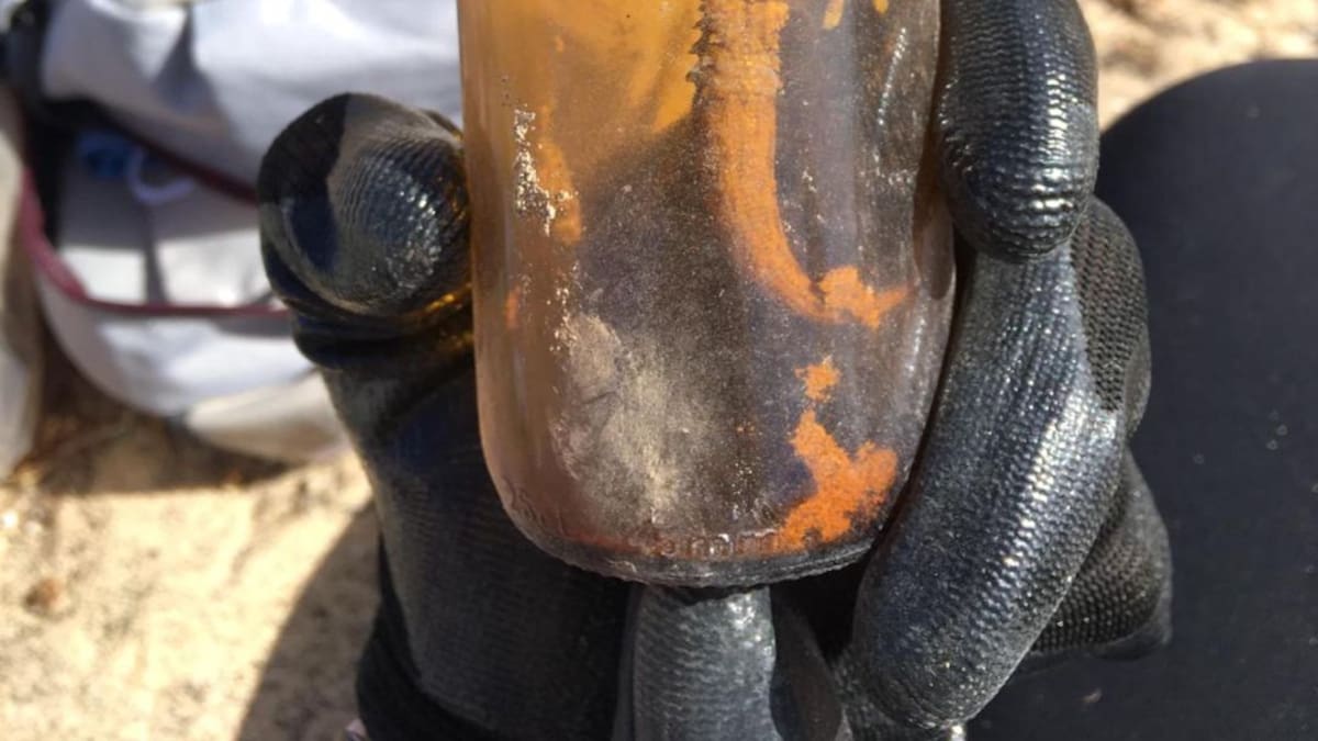 La trampa mortal que asfixia a los animales que buscan refugio y alimento