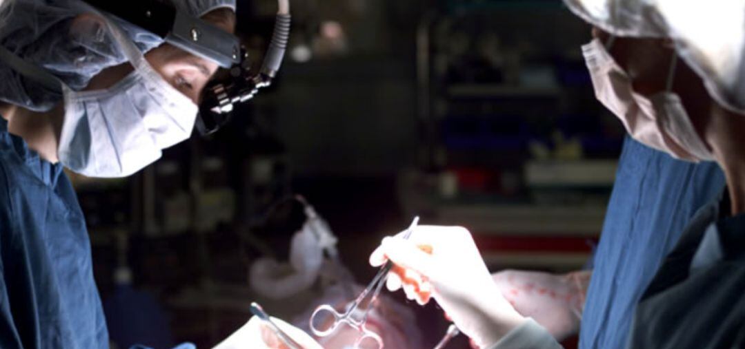 Sanitat vuelve a dejar a Castellón sin área de trasplantes de riñón