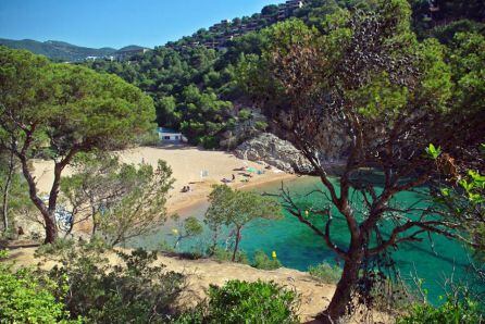 Cala Pola, Tossa de Mar