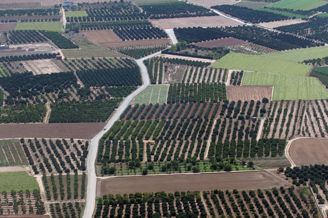 Campos, huertas, minifundios, huertos, agricultura, árboles, explotación agraria