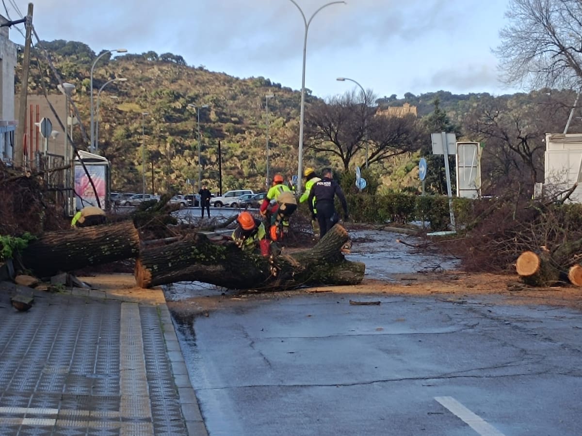 Fuertes vientos causan daños en Plasencia y dejan incomunicado el hospital