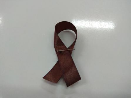 Lazo marrón contra la subida de las pensiones