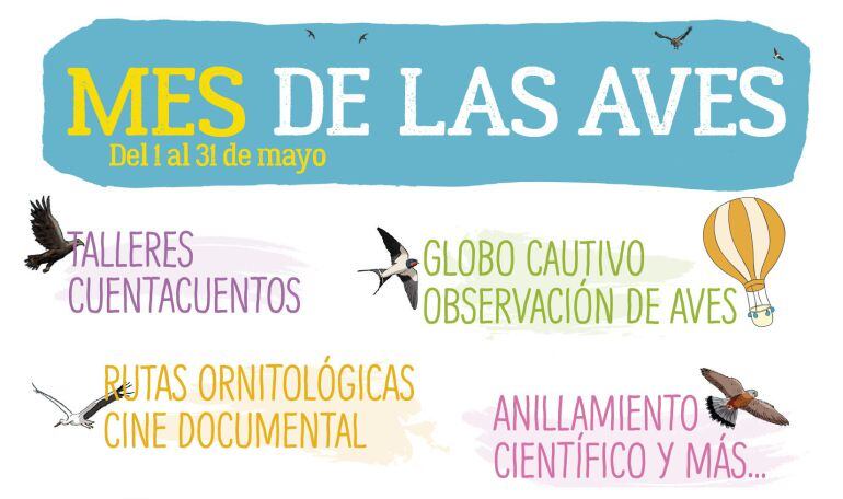 Cartel mes de las aves