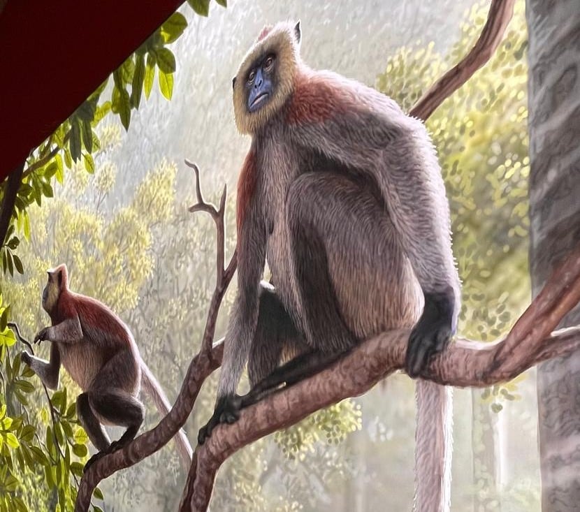 Obra Mauricio Antón