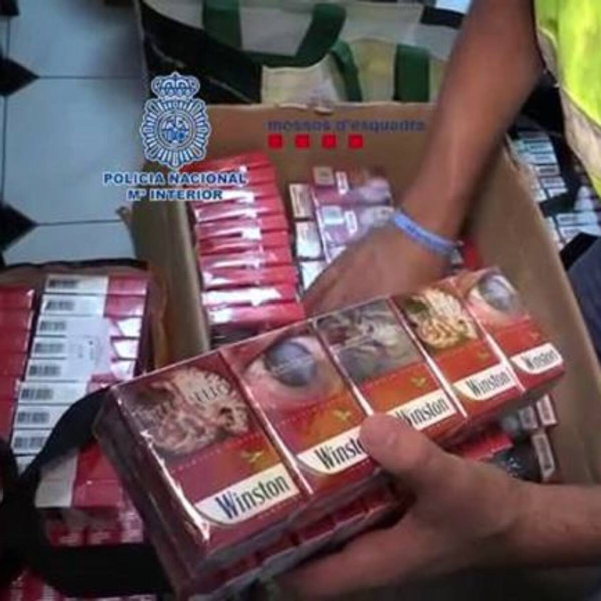 VÍDEO | Registros en Elda y Petrer ante la operación contra la mafia armenia en toda España