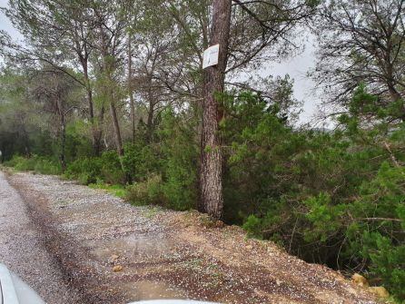 Precipitaciones en forma de granizo en Benirrás