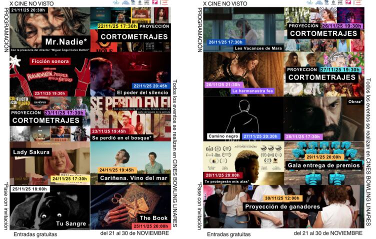 Programación del Festival 'Cine No Visto'.