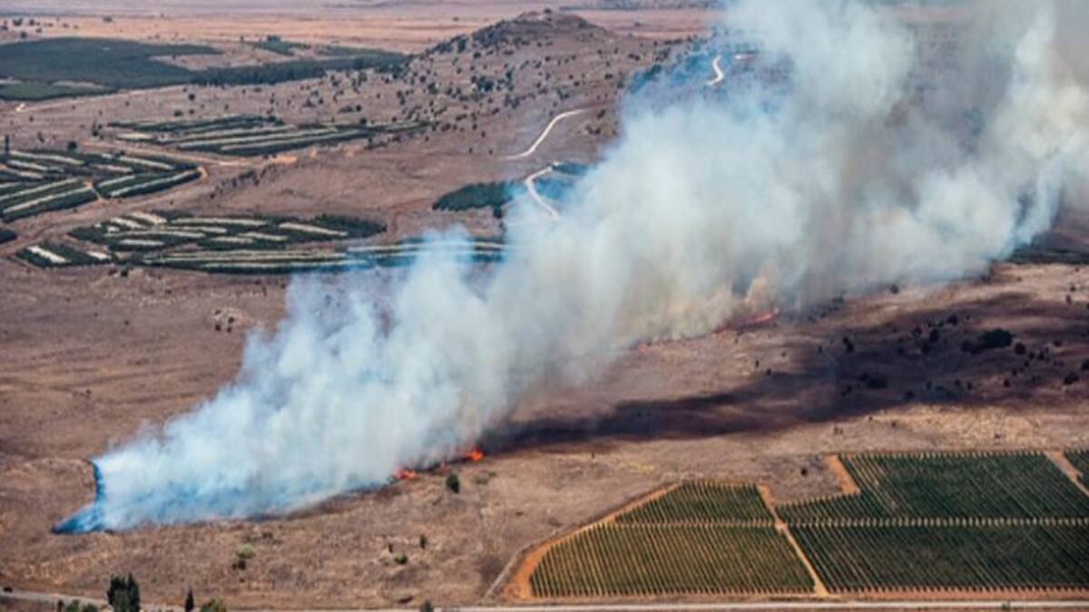 La firma de Pedro Blanco: Riesgo de colisión