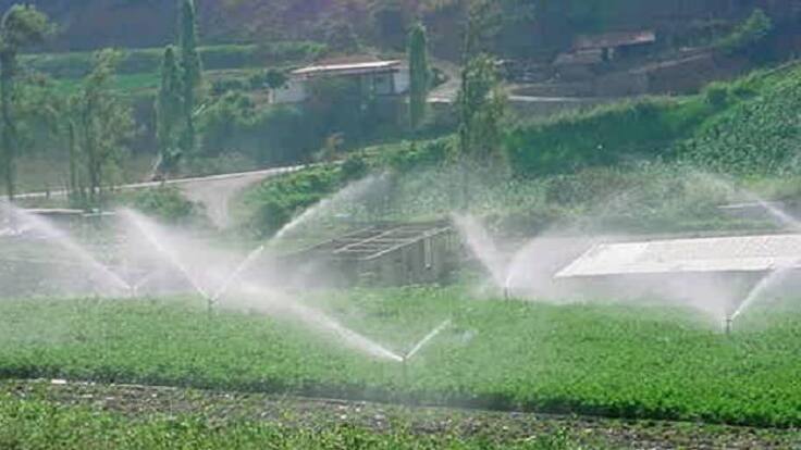 La Llavor 13-06-2015