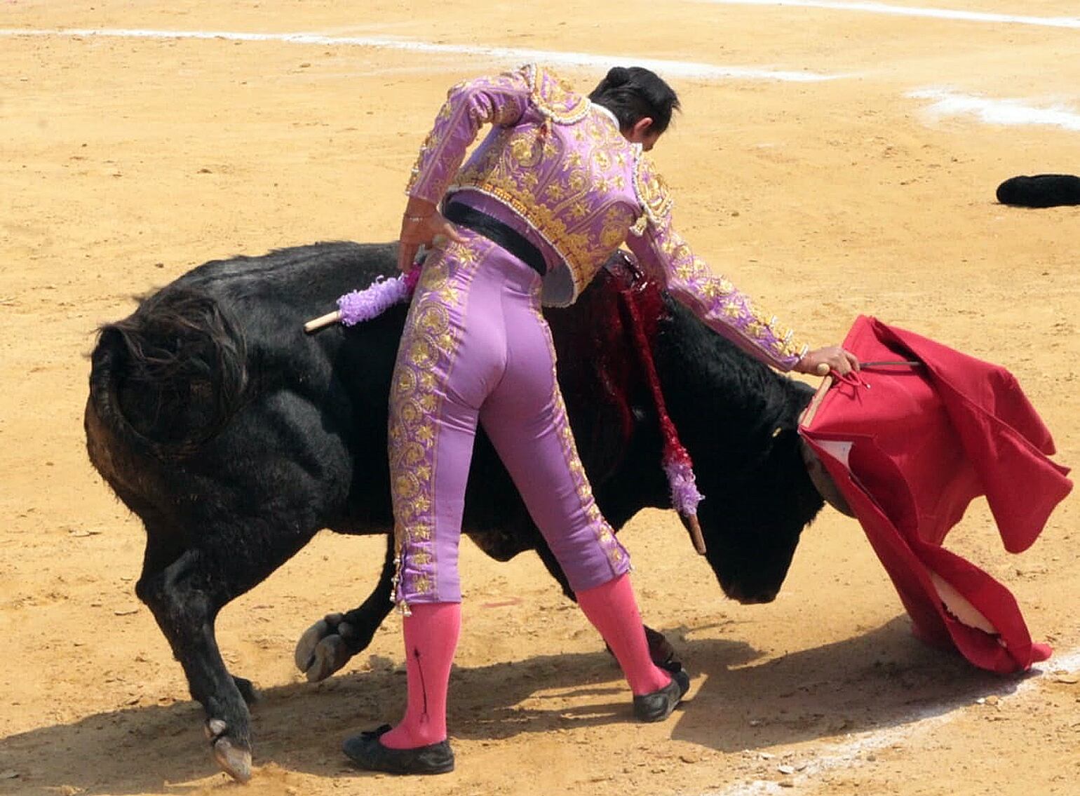 Este fin de semana se celebra en la Plaza de Toros de Alalpardo una corrida de toros y novillada con picadores