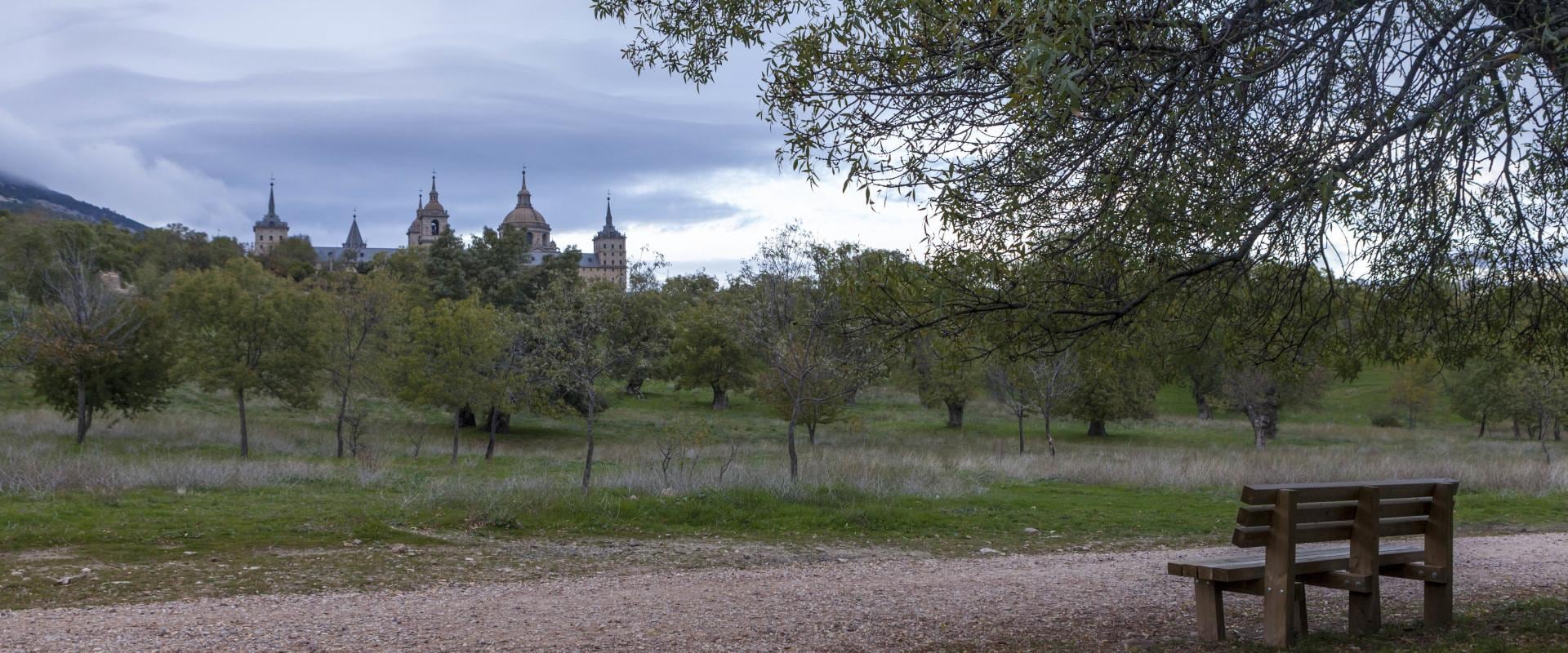 Bosque de la Herrería, en el entorno de San Lorenzo del Escorial