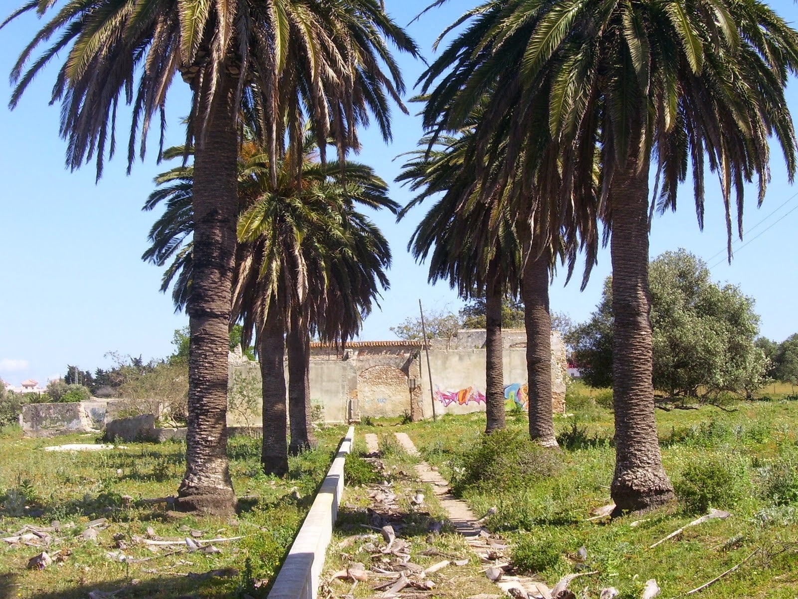 Terrenos de La Huerta de la Compañía en Camposoto. Archivo.