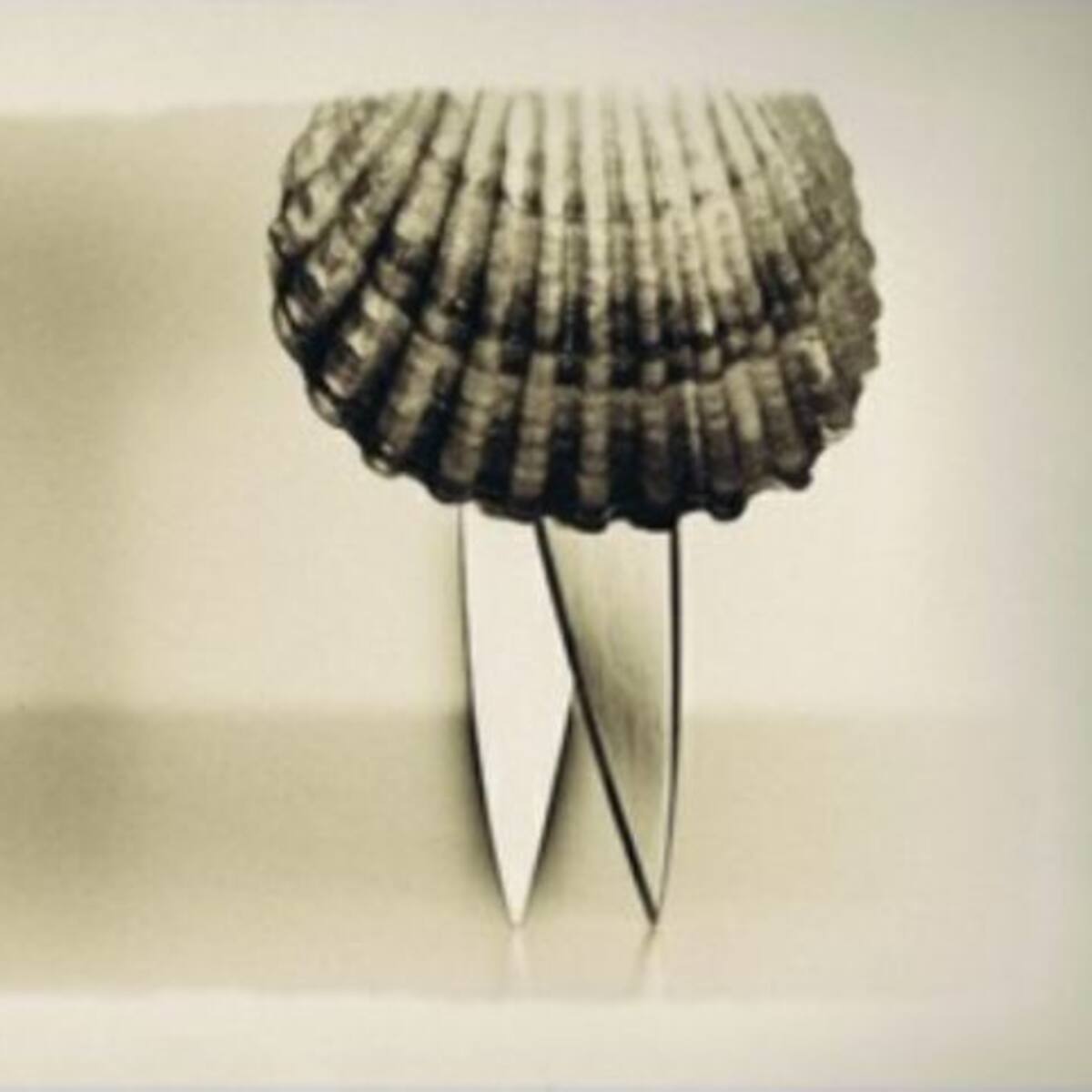 ¿Qué podemos hacer este fin de semana?