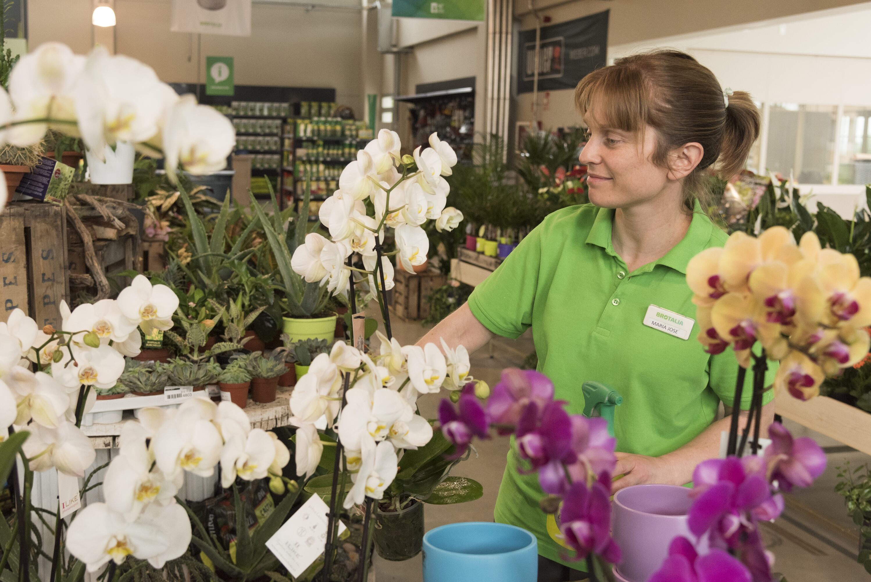 Instalaciones de Brotalia