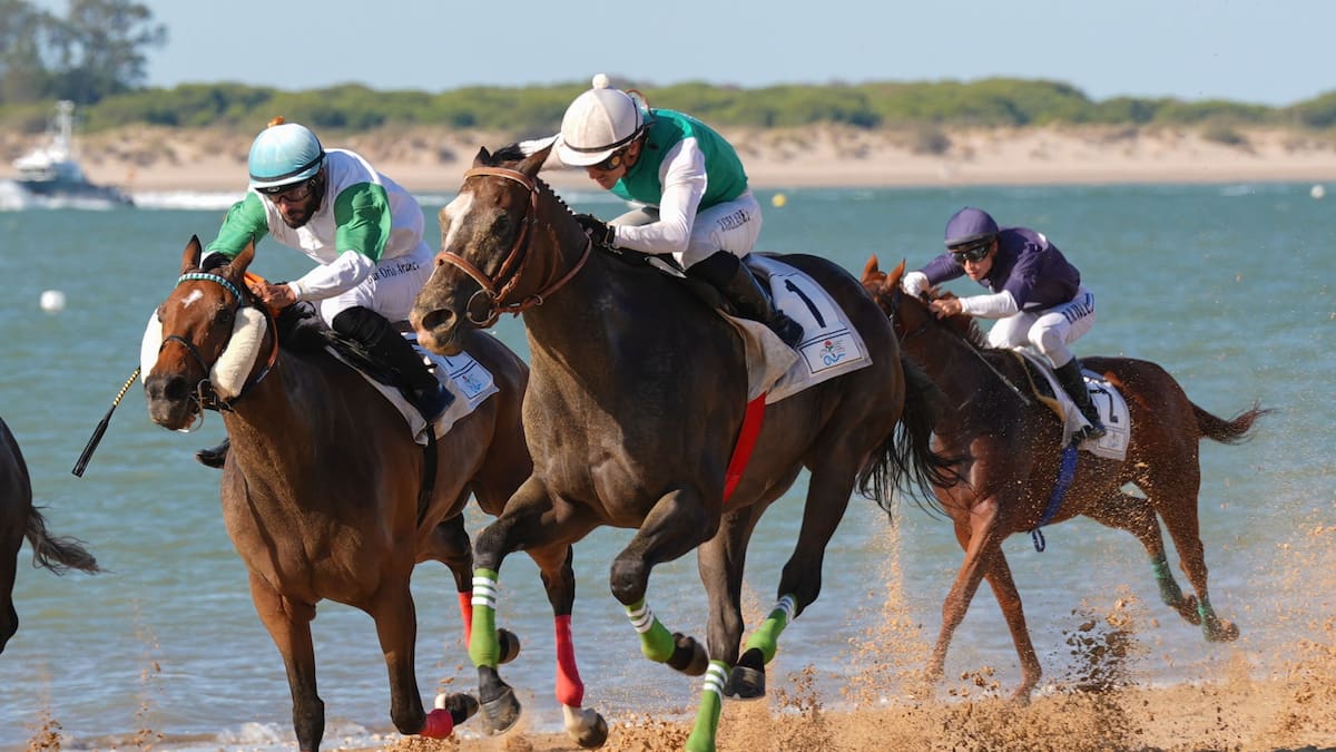 Día 1 Carreras de Caballos de Sanlúcar de Barrameda 1er Ciclo