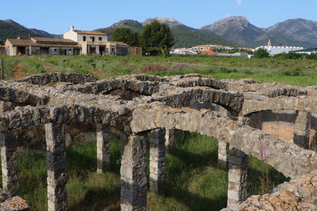 Bassa dels Arcs. Xaló 