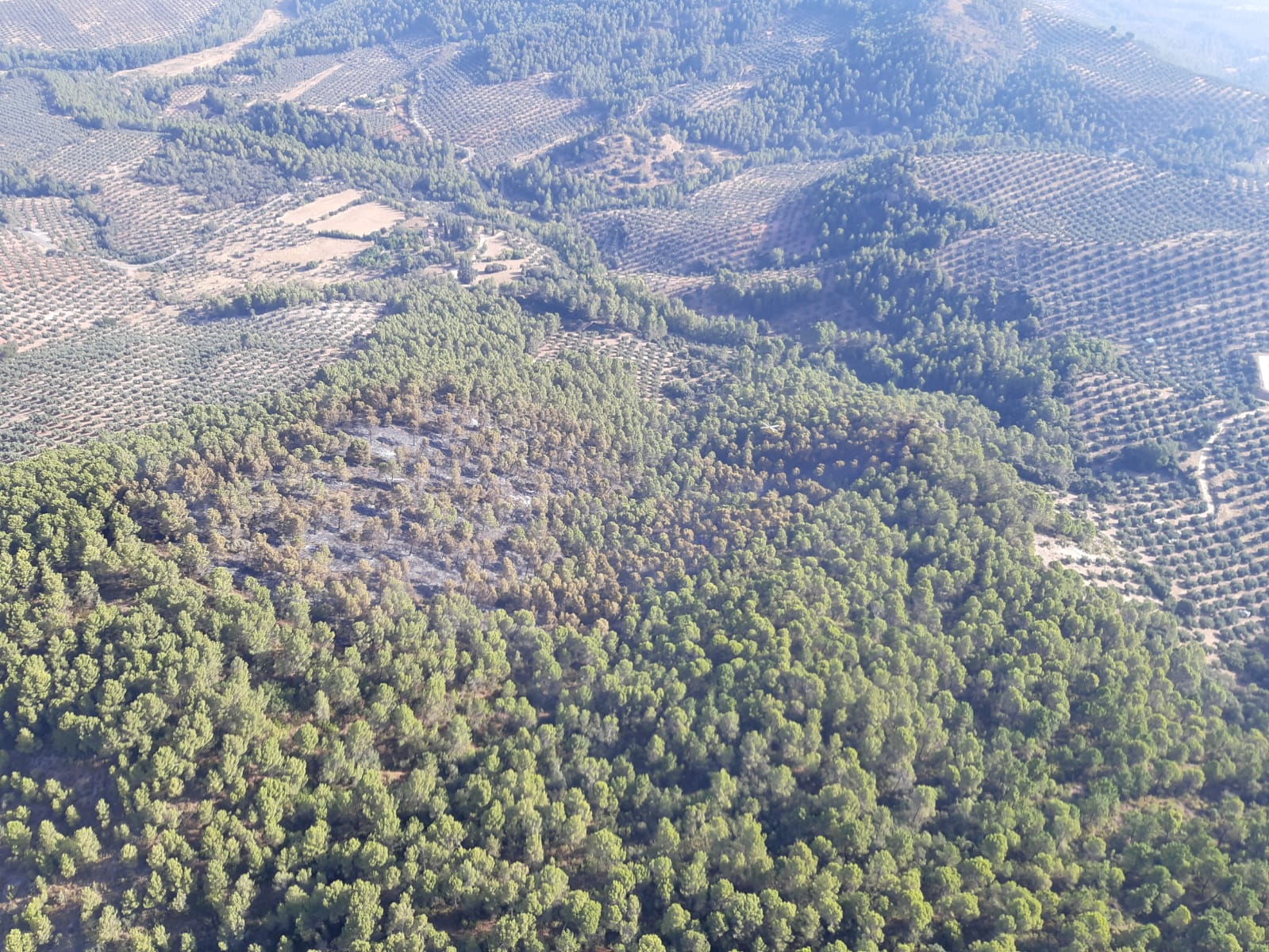 Vista aérea, aportada por el Plan Infoca, de la zona del incendio de Benatae, en la provincia de Jaén