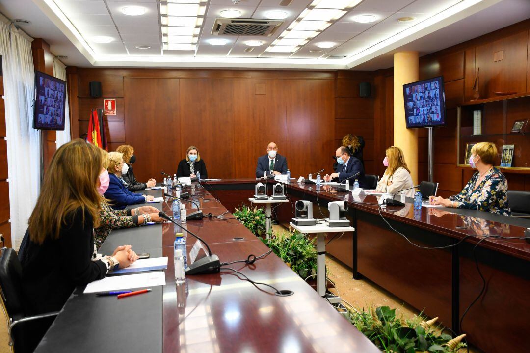 La consejera de Familia e Igualdad de Oportunidades, Isabel Blanco, y el presidente de la Diputación de Segovia, Miguel Ángel de Vicente, presentan de forma telemática el informe del Consejo Regional de la Mujer