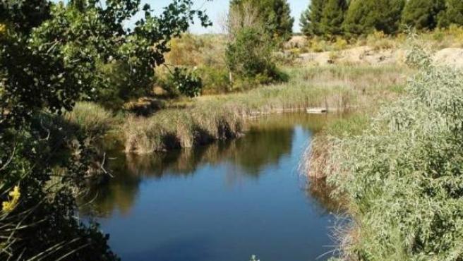 La zona de humedal de las Lagunas de Horna en Getafe es de una hectárea para un área de protección de 5,3 ha