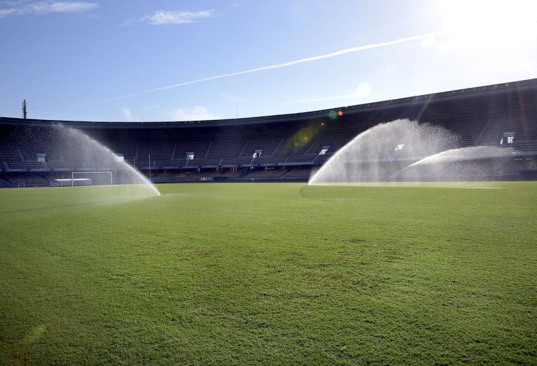 Estado actual césped de Chapín