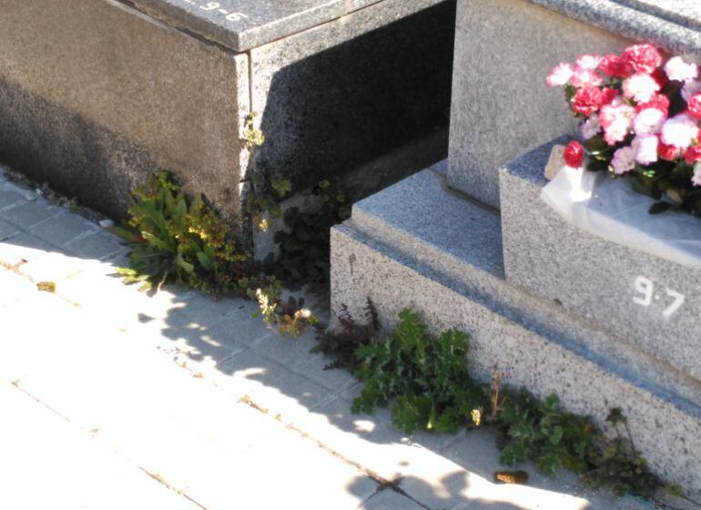 Estado del cementerio de Móstoles