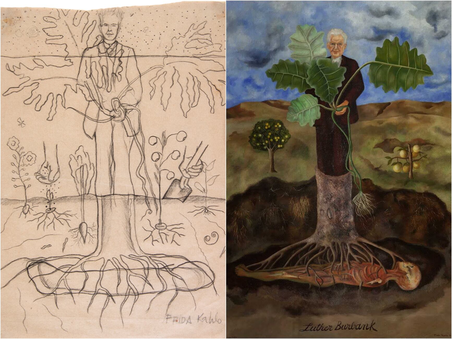Estudio para el Retrato de Luther Burbank (Frida Kahlo, 1931. Colección Juan Coronel Rivera, México) y Retrato de Luther Burbank (Frida Kahlo, 1931. Museo Dolores Olmedo, Ciudad de México)