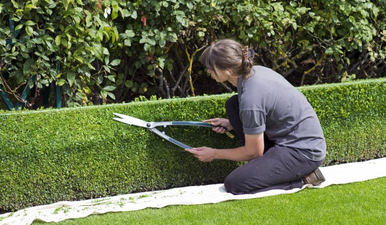 Una de las especialidades de estos contratos será la de Jardinería y Restauración del paisaje.