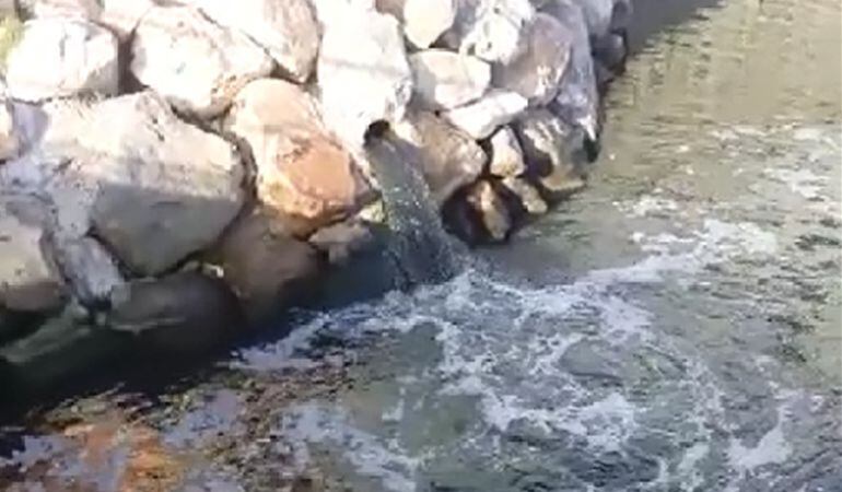 Vertidos fecales en el Barranco de las Ovejas