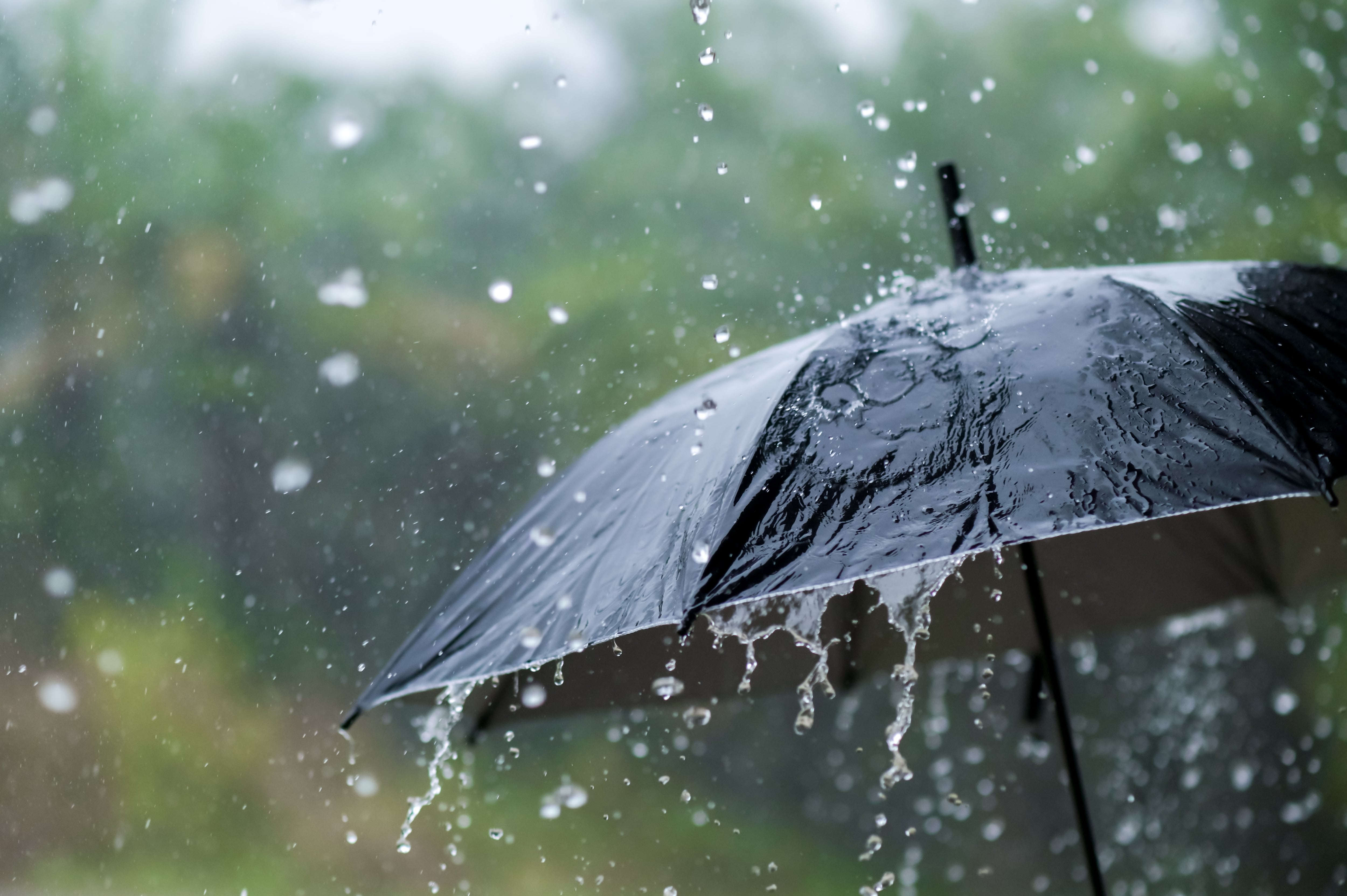 Letras Escogidas. La Lluvia