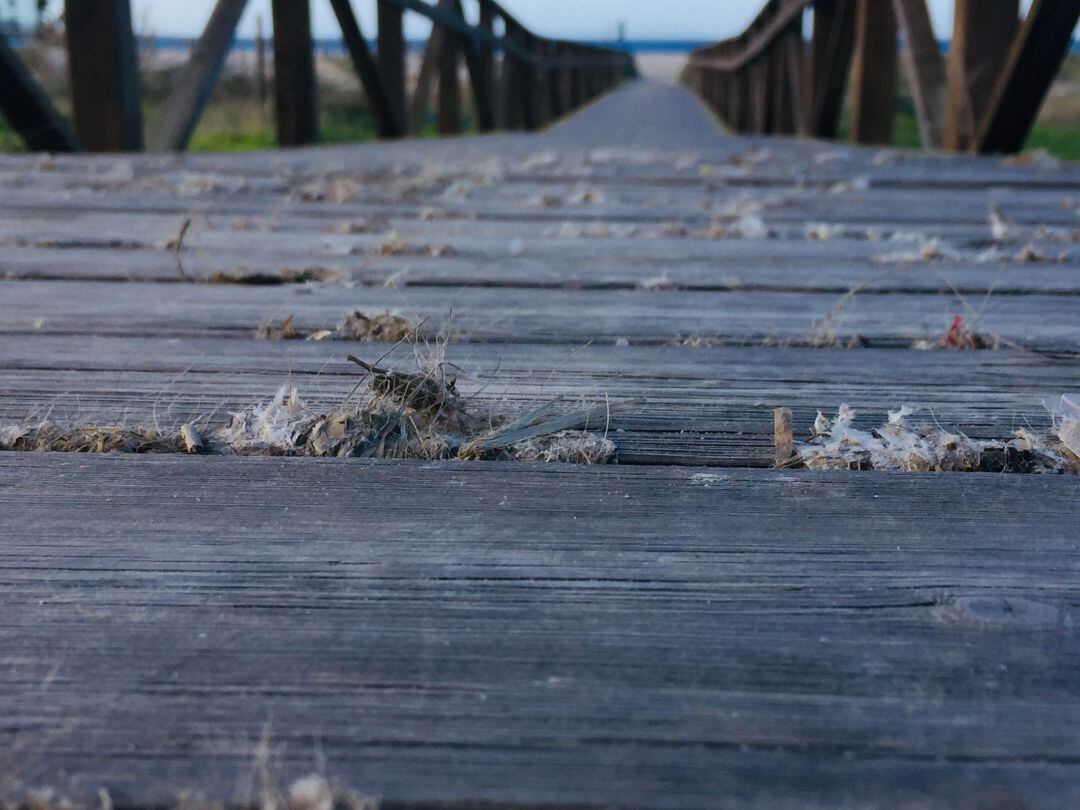 Una pasarela en Los Lances.