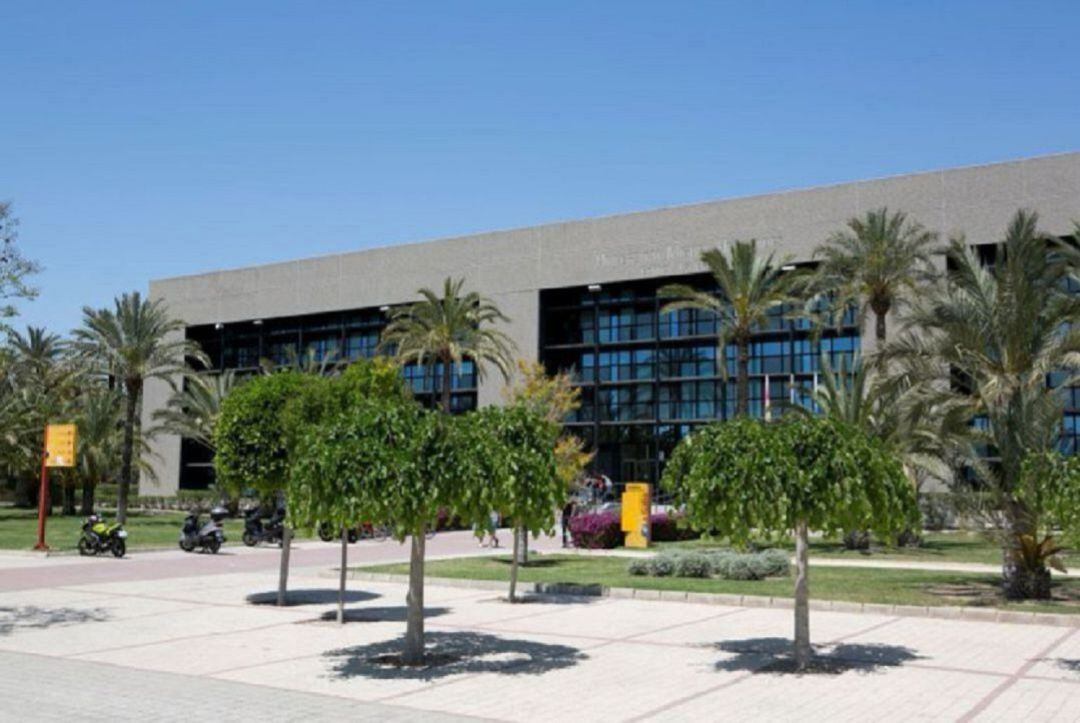 Universidad Miguel Hernández