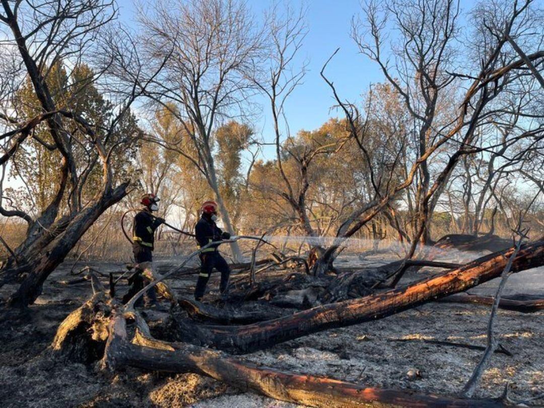 Extinguido el incendio de vegetación en Fuente El Saz (Madrid) tras provocar la intoxicación de 16 personas