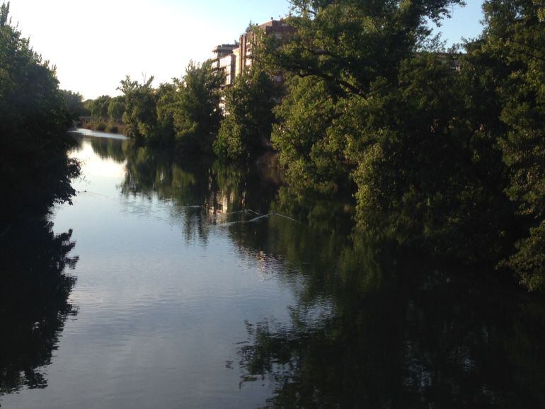 Imagen del Carrión a su paso por Palencia
