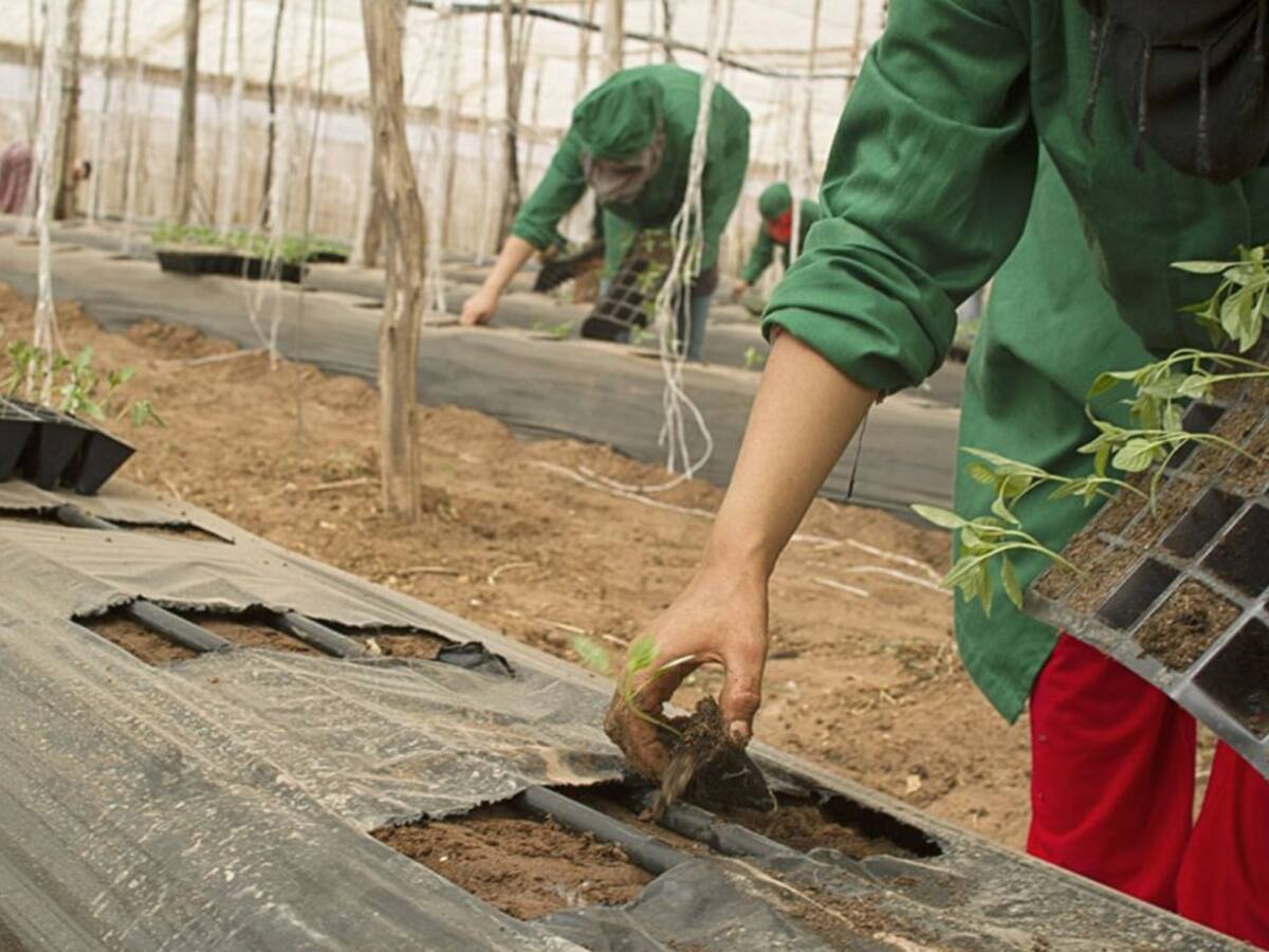 El paro en Valladolid sube en 706 personas en noviembre