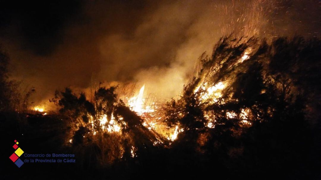 Incendio sofocado por los Bomberos de Jerez en Torrecera