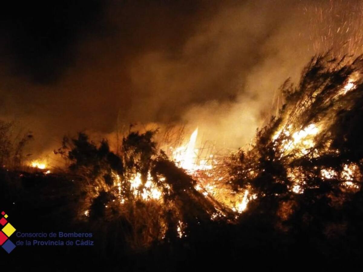 Bomberos intervienen durante tres horas en un incendio de vegetación