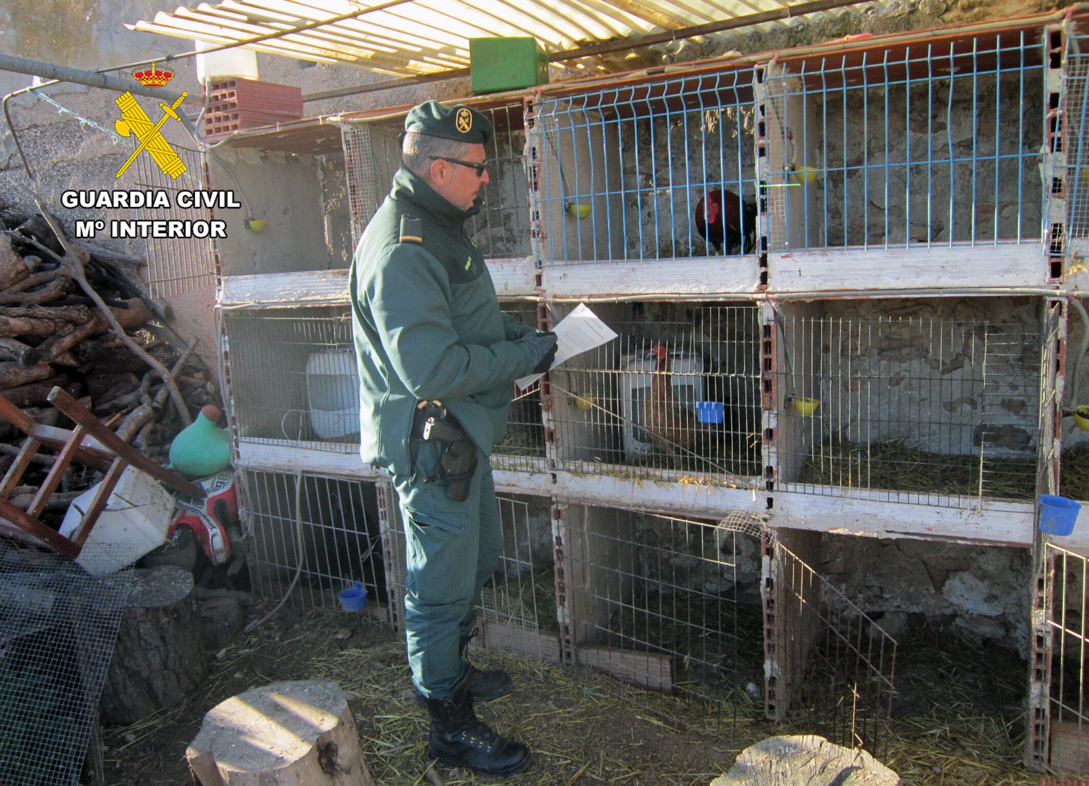 Un agente de la Guardia Civil en el desarrollo de la Operación ‘Spur’ en Caravaca