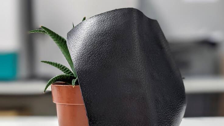 La Llavor 25/02/2023