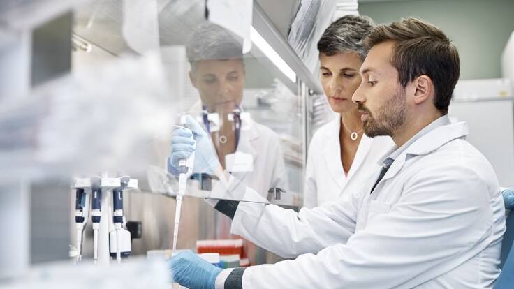 Científicos estadounidenses construyen ‘robots vivos’ de apenas medio milímetro