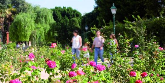 Parque de Viveros, Valencia