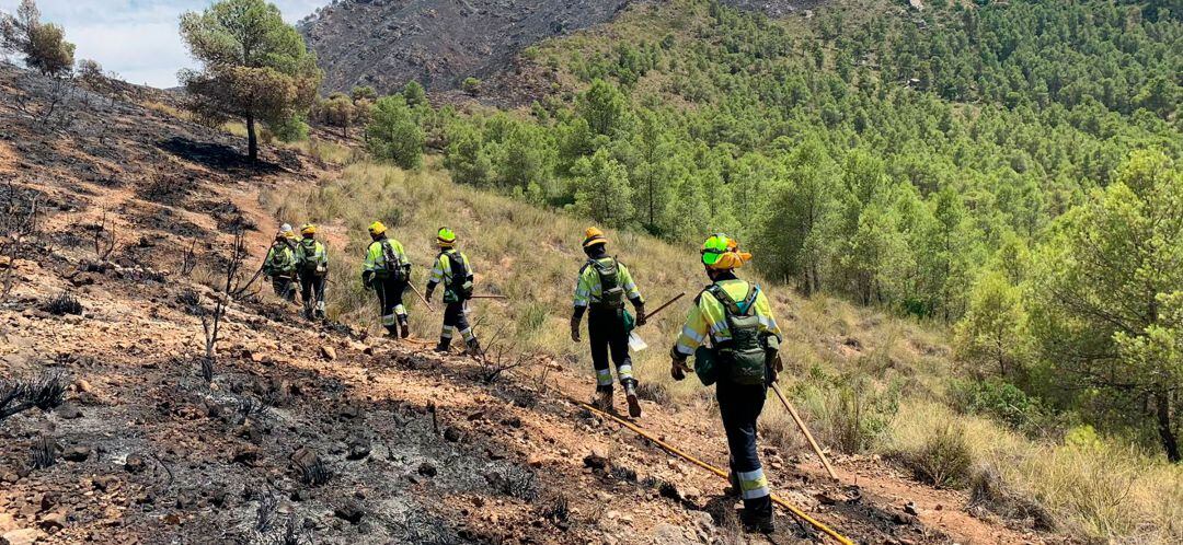 Los bomberos forestales abandonan la zona quemada en Liétor