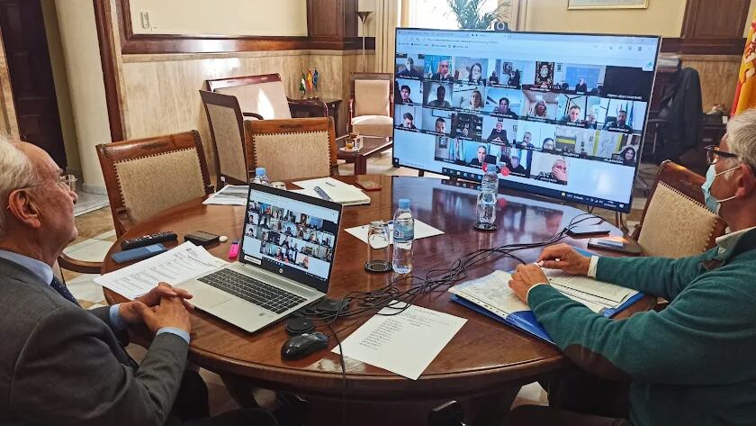 Reunión telemática celebrada ayer para aboradar los daños del temporal.